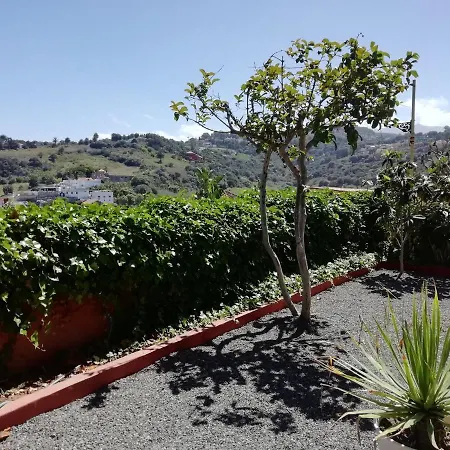 Lemmon Tree Appartement